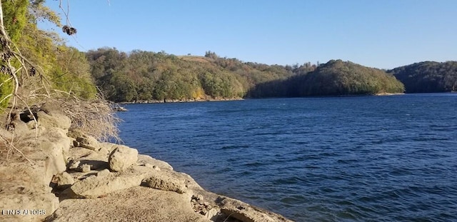 LOT7C Swan Ridge Rd, Hilham, TN 38568