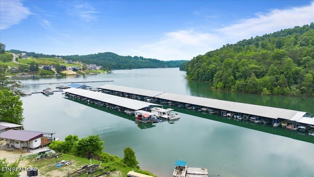 148 Mariner Point Rd, Lafollette, TN 37766 - water view with a floating dock and a forest