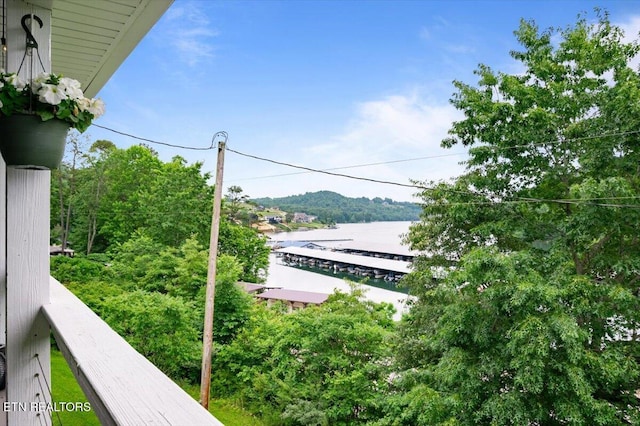 148 Mariner Point Rd, Lafollette, TN 37766 - water view