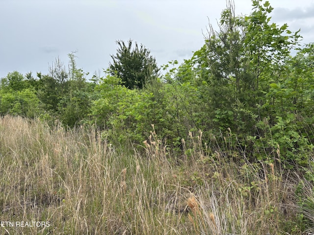 Scott Hwy, Winfield, TN 37892