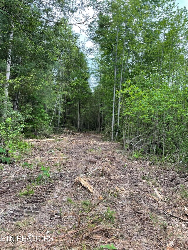 Scott Hwy, Winfield, TN 37892