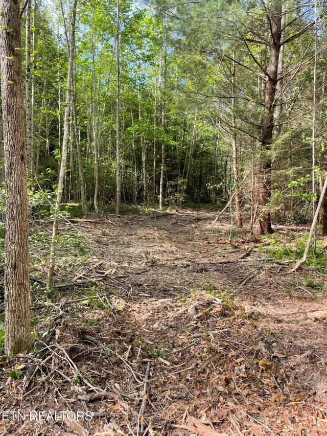 Scott Hwy, Winfield, TN 37892
