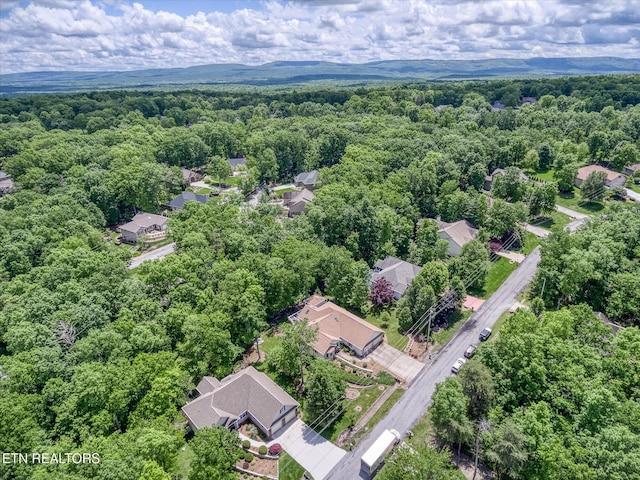 114 Bent Oak Ter, Fairfield Glade, TN 38558 - photo 38