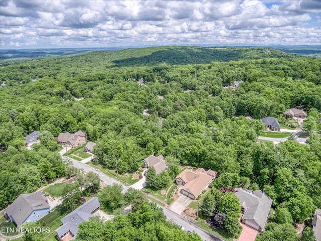 114 Bent Oak Ter, Fairfield Glade, TN 38558 - photo 45