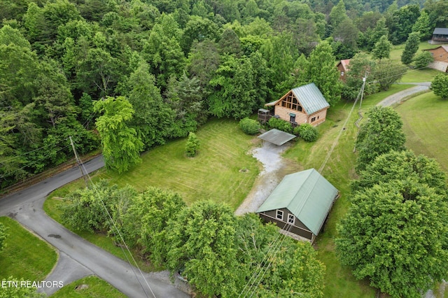 aerial view