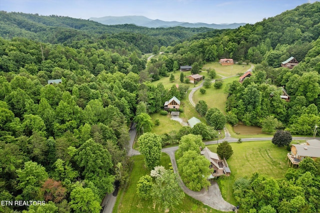 drone / aerial view of a heavily wooded area and a mountainous background