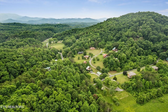 aerial view of property's location with a heavily wooded area and a mountain backdrop