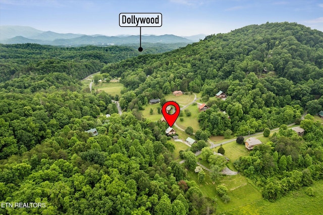 aerial view of a forest and a mountain backdrop