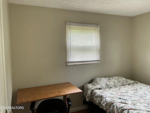 166 Stratford Rd, Harrogate, TN 37752 - bedroom with baseboards