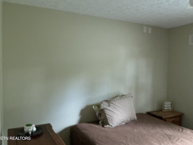 166 Stratford Rd, Harrogate, TN 37752 - bedroom featuring a textured ceiling