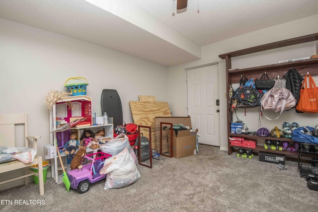 storage featuring a ceiling fan