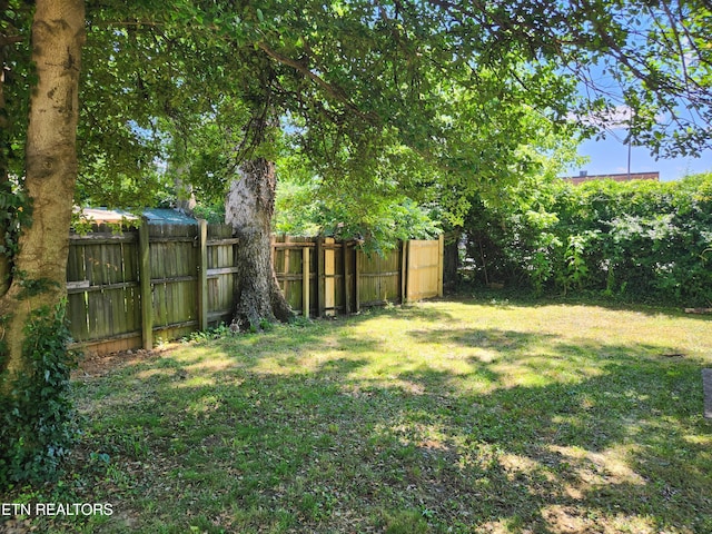 129 S Elmwood St, Knoxville, TN 37914 - view of yard