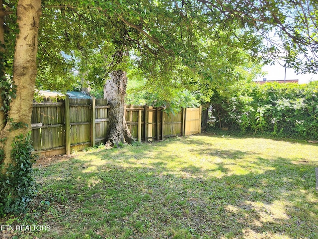 129 S Elmwood St, Knoxville, TN 37914 - view of yard
