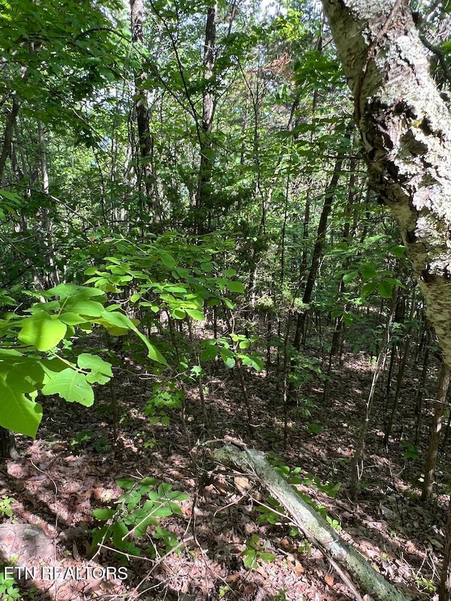 LT225 Clinch View Rd, New Tazewell, TN 37825