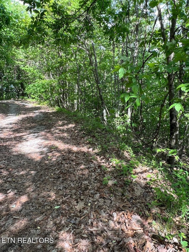LT225 Clinch View Rd, New Tazewell, TN 37825