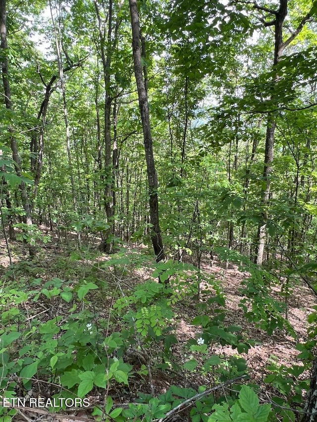LT225 Clinch View Rd, New Tazewell, TN 37825