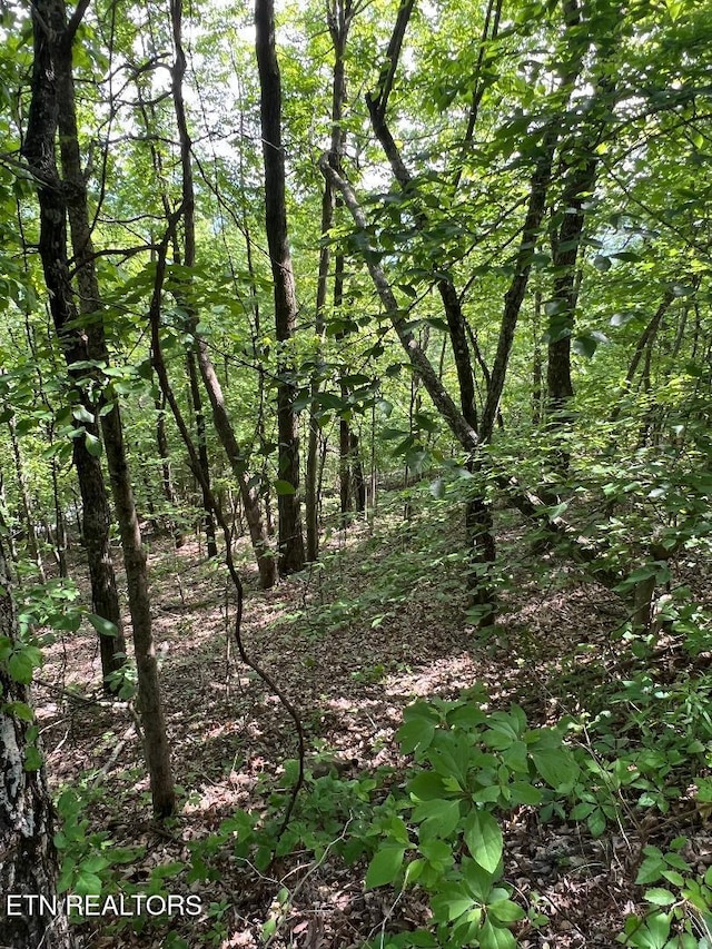 LT225 Clinch View Rd, New Tazewell, TN 37825