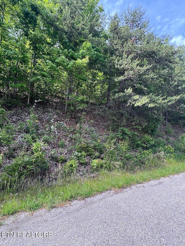 LT225 Clinch View Rd, New Tazewell, TN 37825