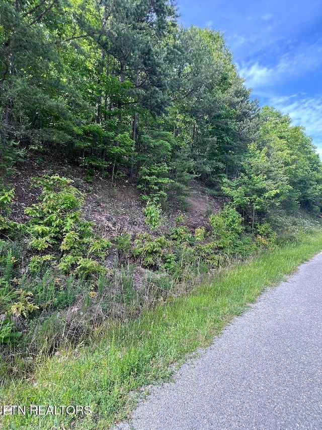 LT225 Clinch View Rd, New Tazewell, TN 37825
