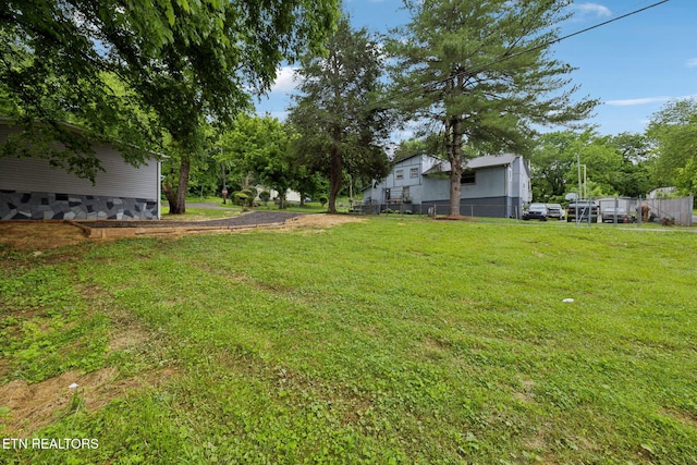 4001 Lilac Ave, Knoxville, TN 37914 - view of yard