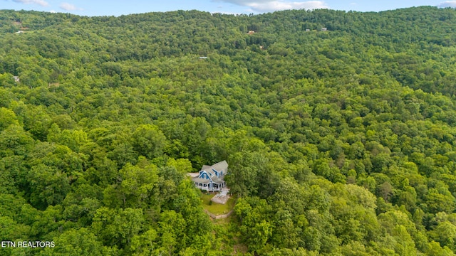 157 Wildcat Hollow Rd, New Tazewell, TN 37825 - view from above of property featuring a heavily wooded area