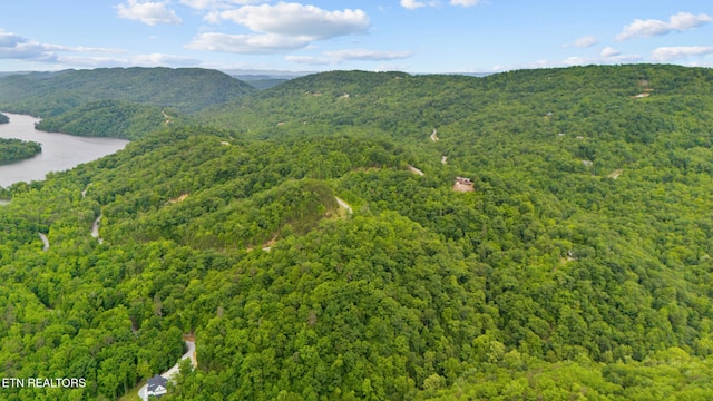 157 Wildcat Hollow Rd, New Tazewell, TN 37825 - mountain view featuring a heavily wooded area