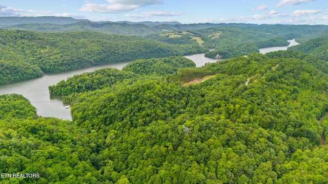 157 Wildcat Hollow Rd, New Tazewell, TN 37825 - drone / aerial view of a water and mountain view and a heavily wooded area