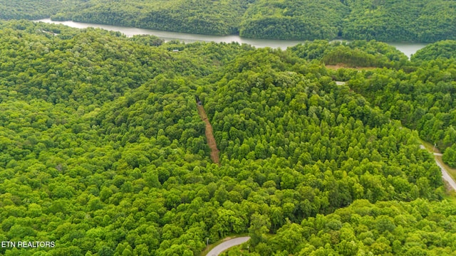 157 Wildcat Hollow Rd, New Tazewell, TN 37825 - aerial view of a heavily wooded area and a large body of water