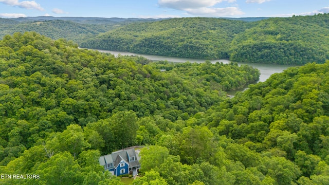 157 Wildcat Hollow Rd, New Tazewell, TN 37825 - bird's eye view of a heavily wooded area and a large body of water