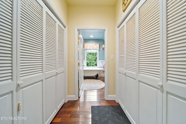 157 Wildcat Hollow Rd, New Tazewell, TN 37825 - hallway featuring dark wood finished floors and baseboards