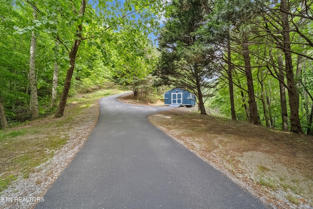 157 Wildcat Hollow Rd, New Tazewell, TN 37825 - view of asphalt driveway with a view of trees