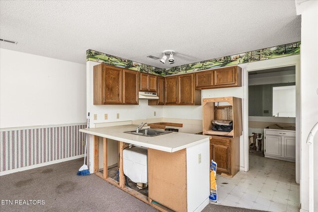 281 Moytoy Rd Unit 204, Crab Orchard, TN 37723 - kitchen featuring a sink, under cabinet range hood, a peninsula, a textured ceiling, and light countertops