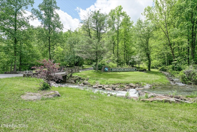 281 Moytoy Rd Unit 204, Crab Orchard, TN 37723 - view of grassy yard