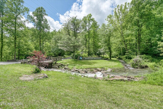 281 Moytoy Rd Unit 204, Crab Orchard, TN 37723 - view of grassy yard