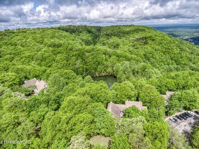 281 Moytoy Rd Unit 204, Crab Orchard, TN 37723 - aerial view of a forest and a nearby body of water