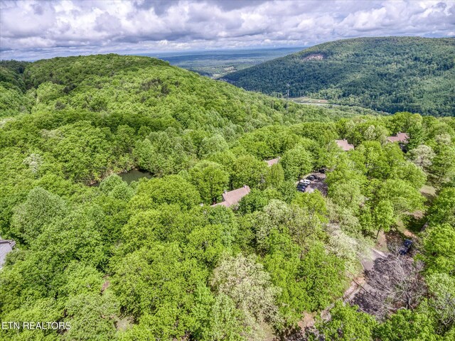 281 Moytoy Rd Unit 204, Crab Orchard, TN 37723 - aerial view of a forest
