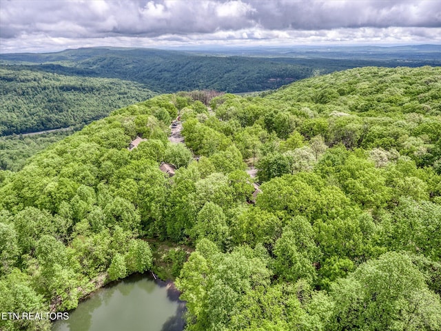 281 Moytoy Rd Unit 204, Crab Orchard, TN 37723 - aerial view of a forest and a nearby body of water