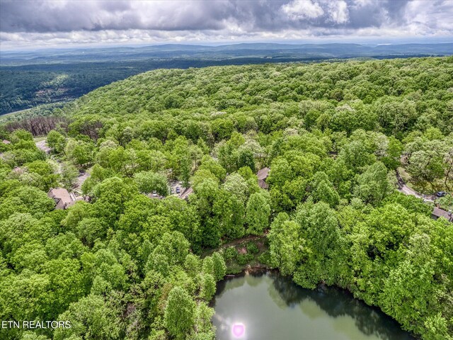 281 Moytoy Rd Unit 204, Crab Orchard, TN 37723 - aerial view of a forest and a nearby body of water