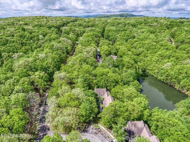 281 Moytoy Rd Unit 204, Crab Orchard, TN 37723 - aerial view of a large body of water and a heavily wooded area