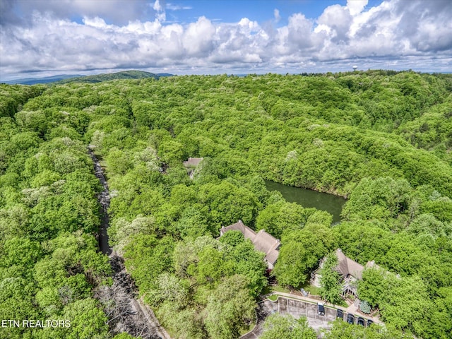 281 Moytoy Rd Unit 204, Crab Orchard, TN 37723 - bird's eye view of a heavily wooded area