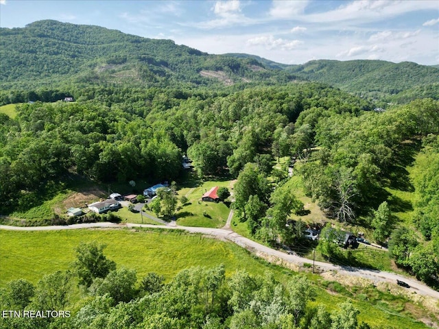 180 Stevenson Branch Rd, Middlesboro, KY 40965 - aerial overview of property's location featuring a forest and mountains