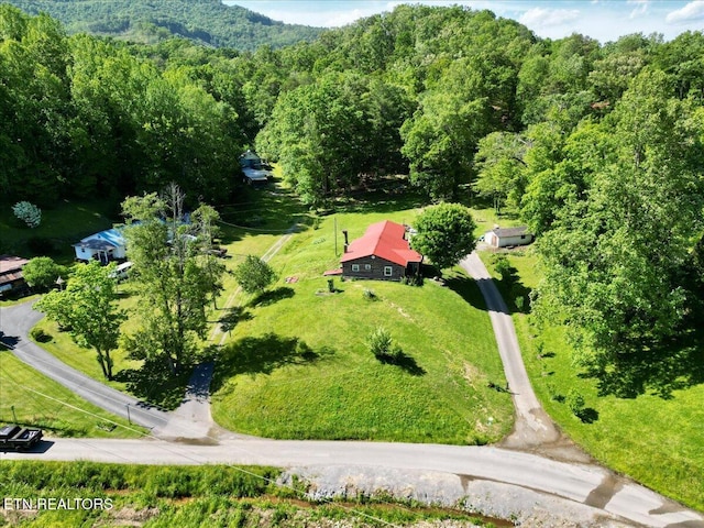 180 Stevenson Branch Rd, Middlesboro, KY 40965 - bird's eye view of a forest