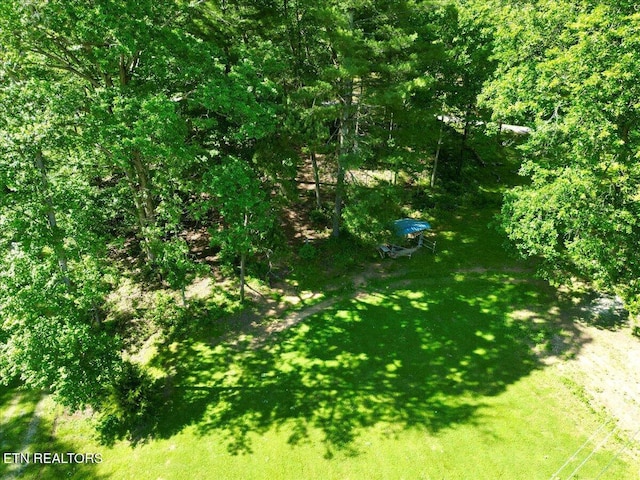 180 Stevenson Branch Rd, Middlesboro, KY 40965 - view of grassy yard