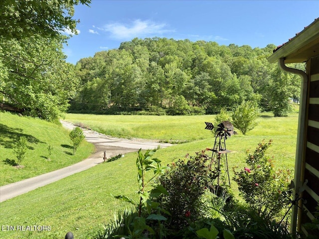 180 Stevenson Branch Rd, Middlesboro, KY 40965 - view of green lawn featuring a wooded view