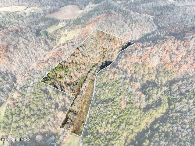 873 Indian Gap Rd, Sevierville, TN 37876 - photo 3
