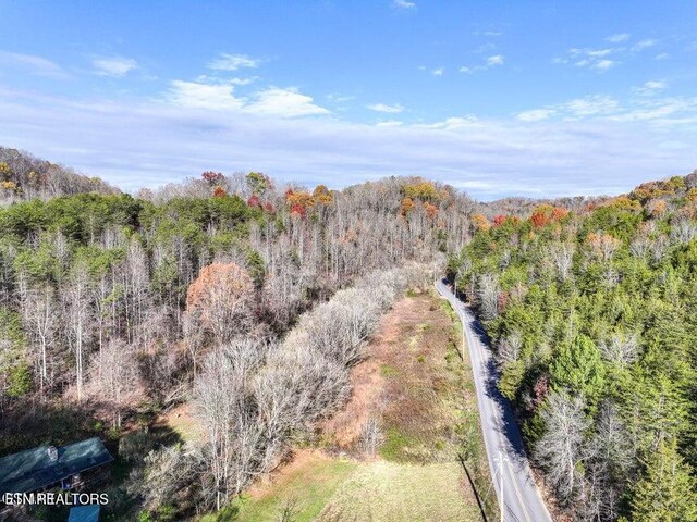 873 Indian Gap Rd, Sevierville, TN 37876 - photo 1
