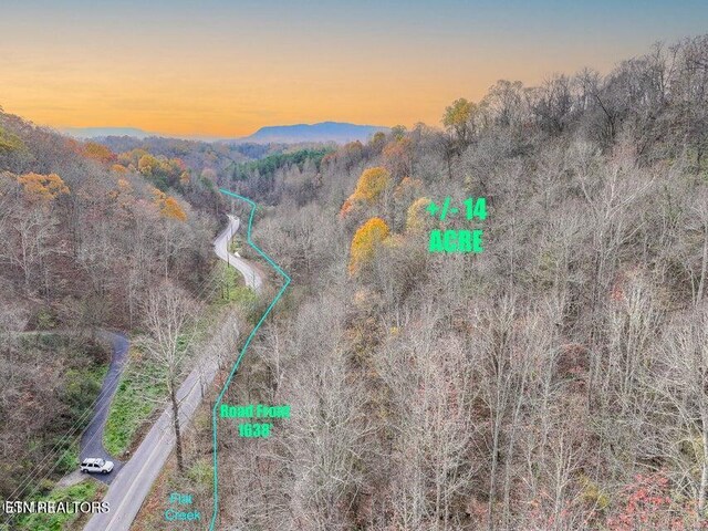 873 Indian Gap Rd, Sevierville, TN 37876 - photo 5