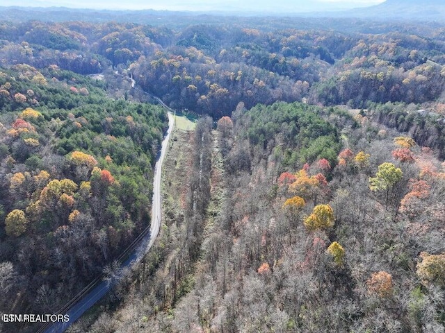 873 Indian Gap Rd, Sevierville, TN 37876 - photo 4