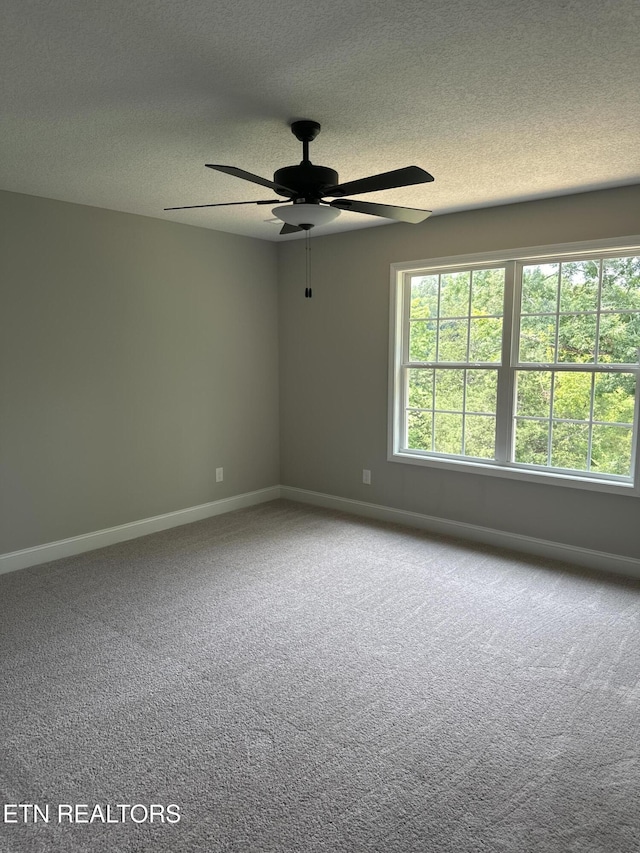 8027 Tree Line Ln, Corryton, TN 37721 - photo 7