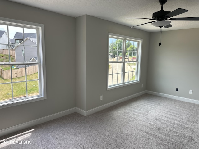 8027 Tree Line Ln, Corryton, TN 37721 - photo 9